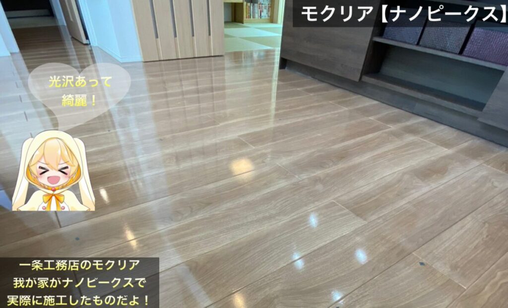 モクリア「ナノピークス」施工