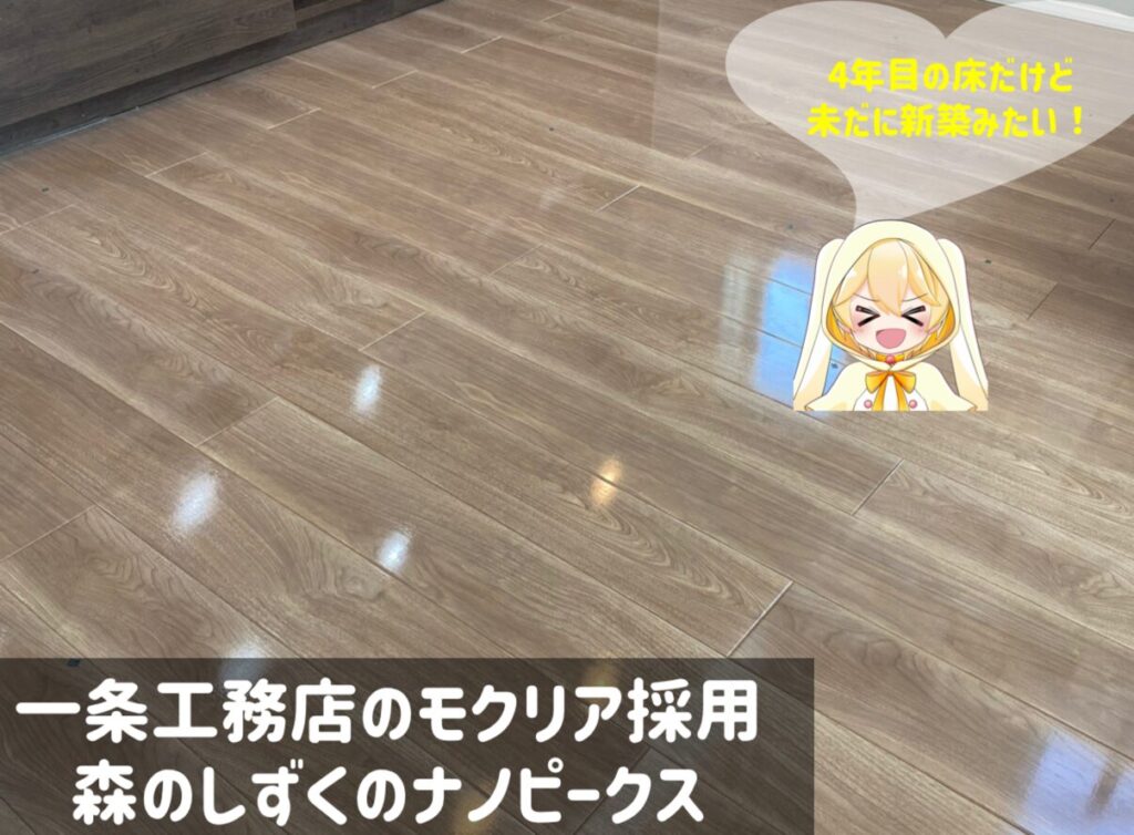 一条工務店(モクリア)ナノピークス施工